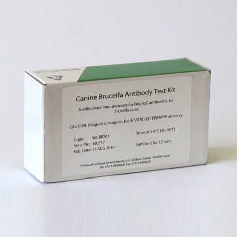 BRUCELLA CANINE IgG En Suero Canino