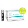 VCHECK NT-proBNP felino