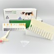 BRUCELLA CANINE IgG En Suero Canino